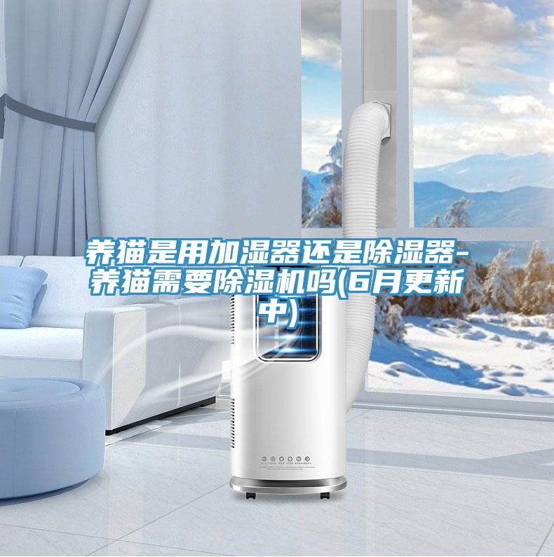 養貓是用加濕器還是除濕器-養貓需要除濕機嗎(6月更新中)