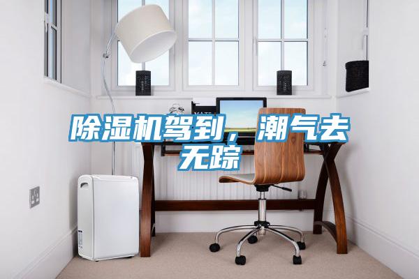 除濕機駕到，潮氣去無蹤