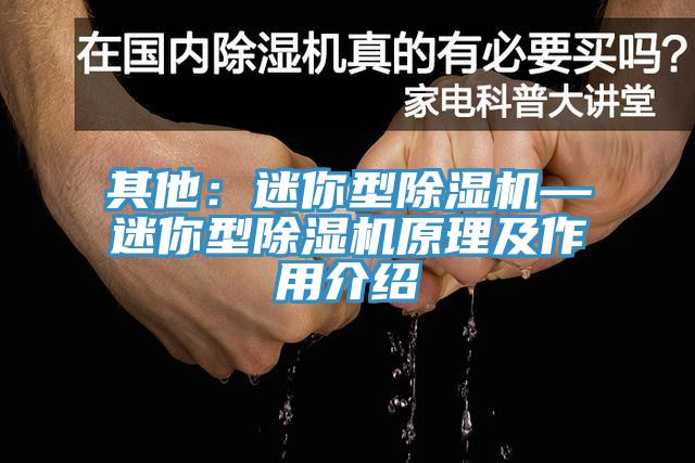 其他：迷你型除濕機—迷你型除濕機原理及作用介紹