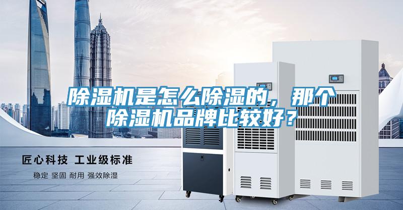 除濕機(jī)是怎么除濕的，那個除濕機(jī)品牌比較好？