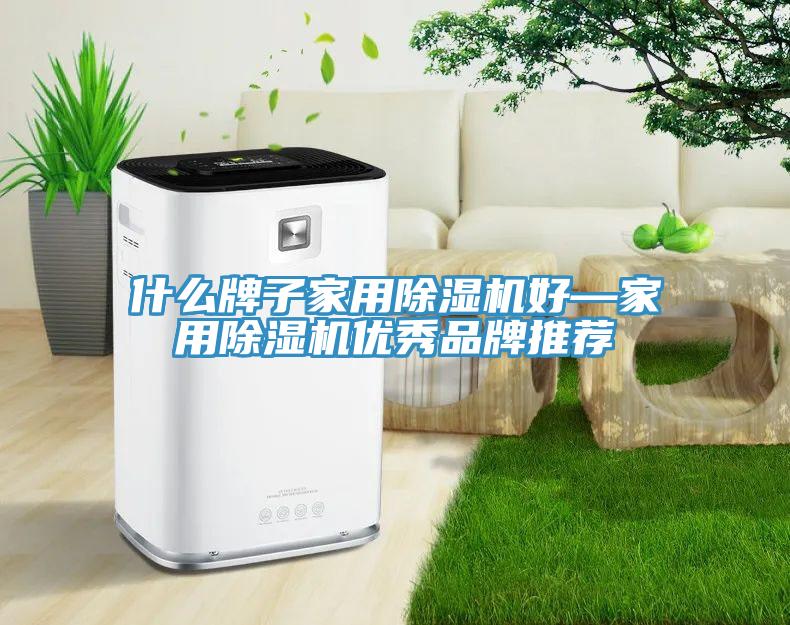 什么牌子家用除濕機(jī)好—家用除濕機(jī)優(yōu)秀品牌推薦