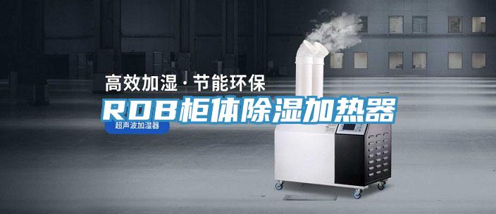 RDB柜體除濕加熱器