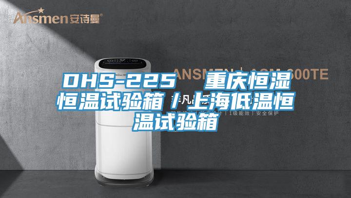 DHS-225  重慶恒濕恒溫試驗(yàn)箱／上海低溫恒溫試驗(yàn)箱