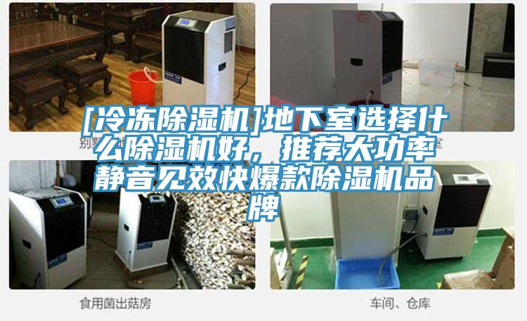[冷凍除濕機]地下室選擇什么除濕機好，推薦大功率靜音見效快爆款除濕機品牌