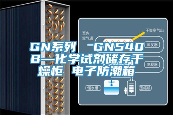 GN系列  GN540B—化學(xué)試劑儲(chǔ)存干燥柜 電子防潮箱