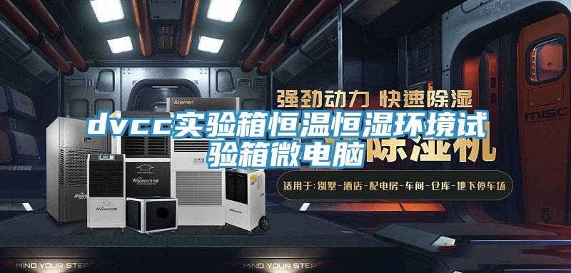dvcc實驗箱恒溫恒濕環境試驗箱微電腦