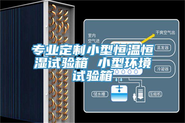 專業定制小型恒溫恒濕試驗箱 小型環境試驗箱