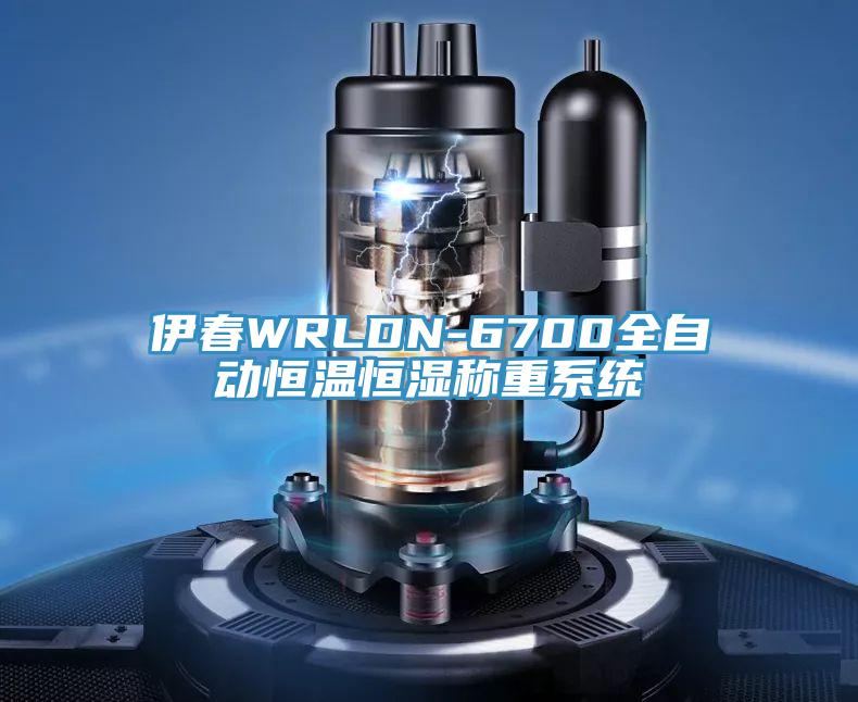 伊春WRLDN-6700全自動恒溫恒濕稱重系統