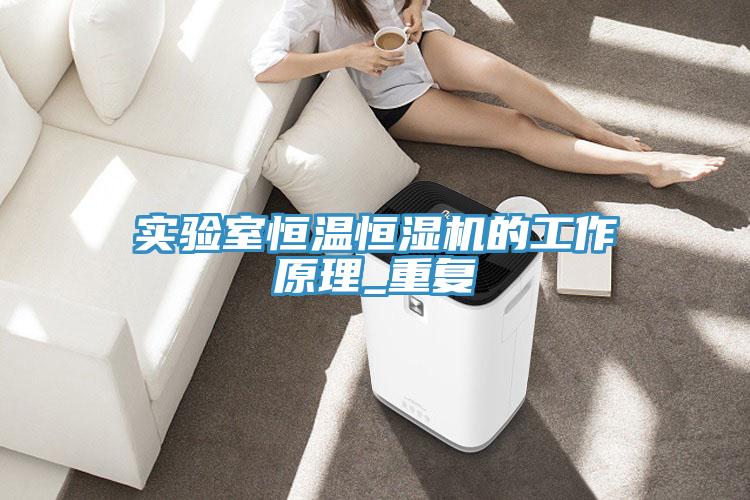 實(shí)驗(yàn)室恒溫恒濕機(jī)的工作原理_重復(fù)