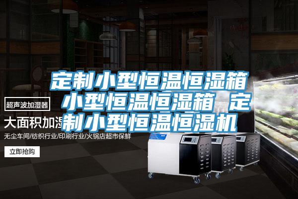 定制小型恒溫恒濕箱 小型恒溫恒濕箱 定制小型恒溫恒濕機(jī)