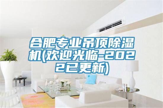 合肥專業(yè)吊頂除濕機(jī)(歡迎光臨-2022已更新)