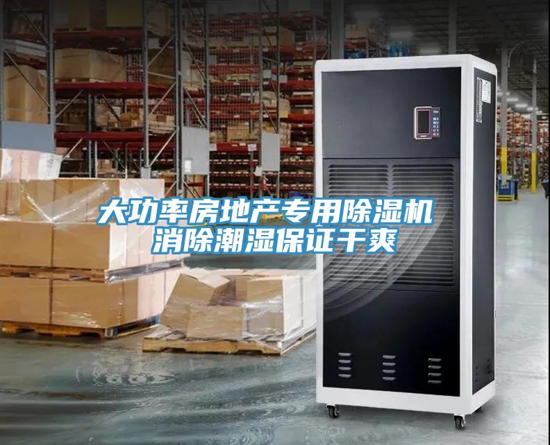 大功率房地產專用除濕機 消除潮濕保證干爽