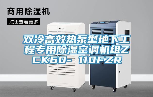 雙冷高效熱泵型地下工程專用除濕空調機組ZCK60- 110FZR