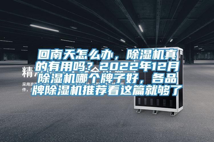 回南天怎么辦，除濕機真的有用嗎？2022年12月除濕機哪個牌子好，各品牌除濕機推薦看這篇就夠了