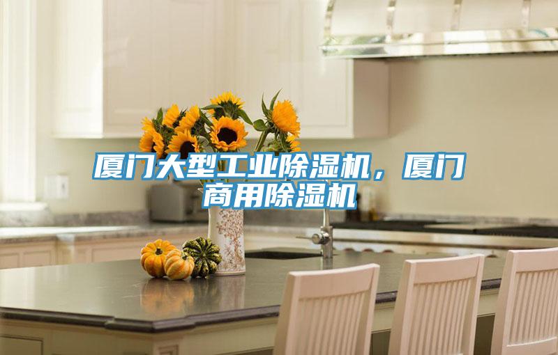 廈門大型工業除濕機，廈門商用除濕機