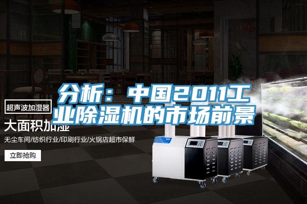 分析：中國2011工業除濕機的市場前景