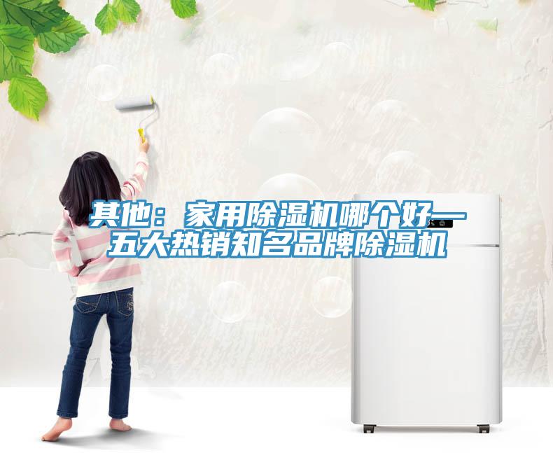 其他：家用除濕機哪個好—五大熱銷知名品牌除濕機