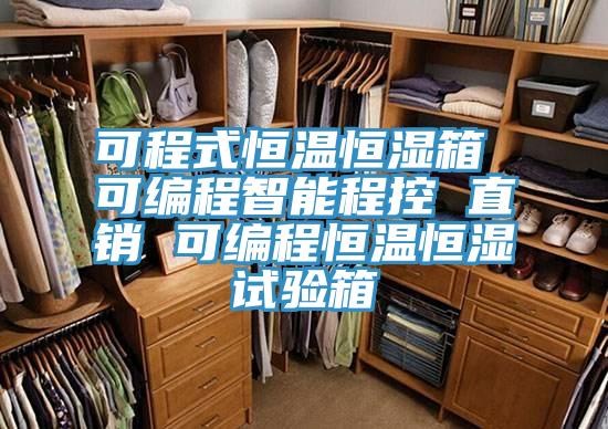 可程式恒溫恒濕箱 可編程智能程控 直銷 可編程恒溫恒濕試驗箱