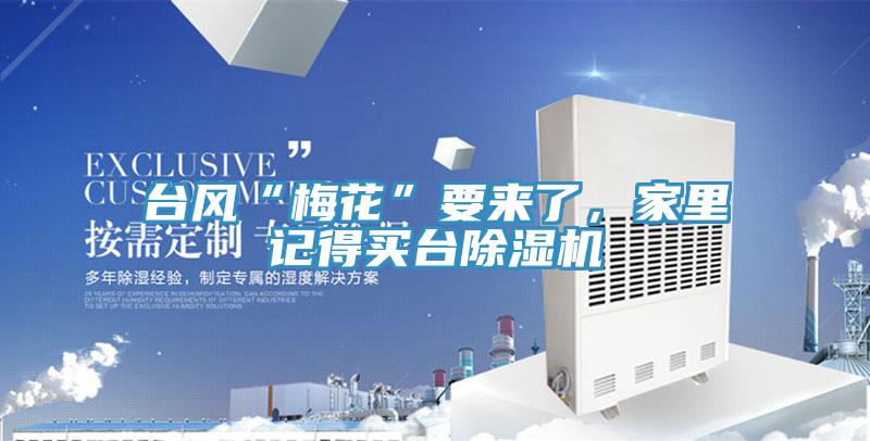 臺風“梅花”要來了，家里記得買臺除濕機