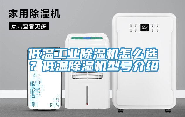 低溫工業除濕機怎么選？低溫除濕機型號介紹