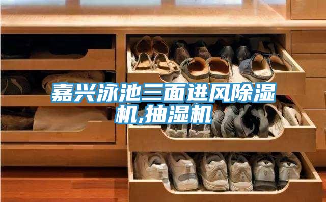 嘉興泳池三面進風除濕機,抽濕機