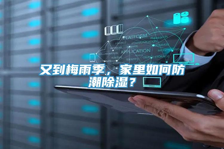 又到梅雨季，家里如何防潮除濕？