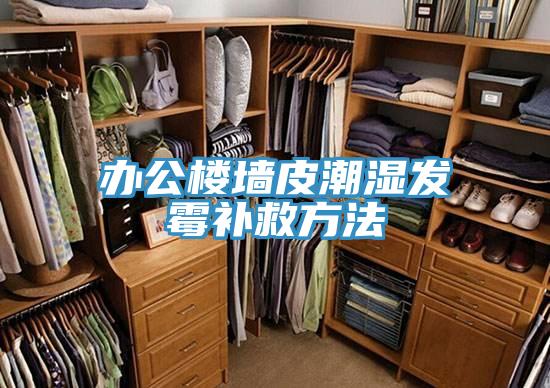 辦公樓墻皮潮濕發(fā)霉補(bǔ)救方法