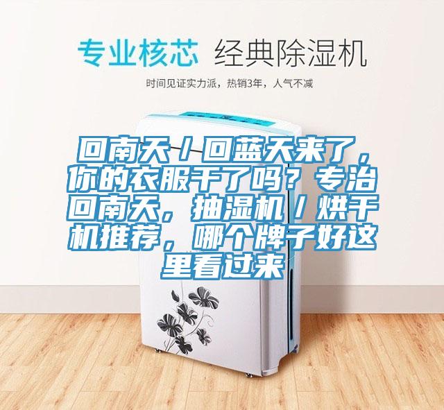 回南天／回藍天來了，你的衣服干了嗎？專治回南天，抽濕機／烘干機推薦，哪個牌子好這里看過來