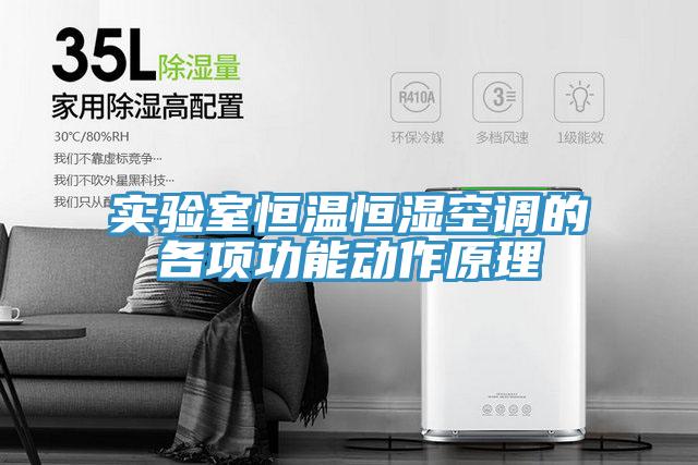 實驗室恒溫恒濕空調的各項功能動作原理