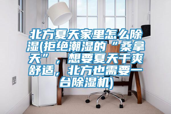 北方夏天家里怎么除濕(拒絕潮濕的“桑拿天”，想要夏天干爽舒適，北方也需要一臺除濕機)