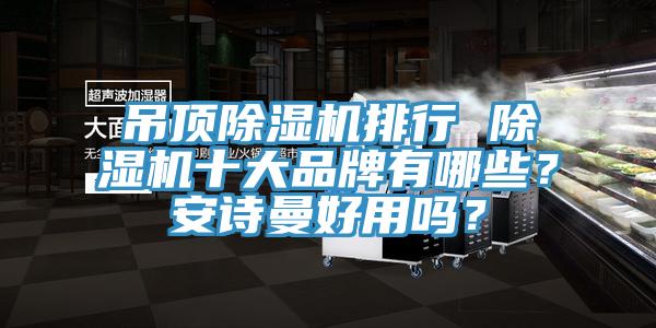 吊頂除濕機排行 除濕機十大品牌有哪些？安詩曼好用嗎？