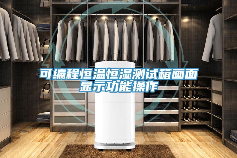 可編程恒溫恒濕測(cè)試箱畫面顯示功能操作