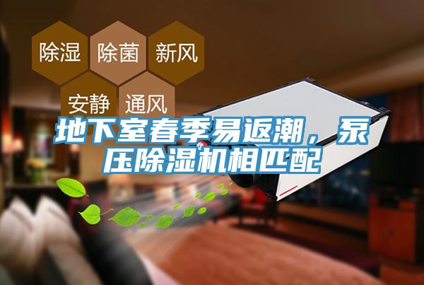 地下室春季易返潮，泵壓除濕機相匹配