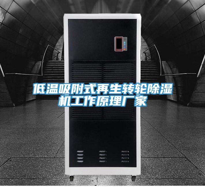 低溫吸附式再生轉(zhuǎn)輪除濕機工作原理廠家