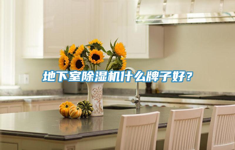 地下室除濕機什么牌子好？