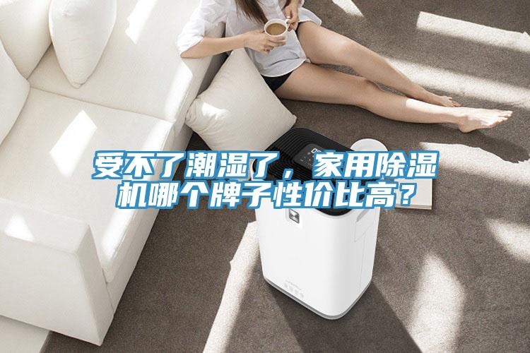 受不了潮濕了，家用除濕機哪個牌子性價比高？