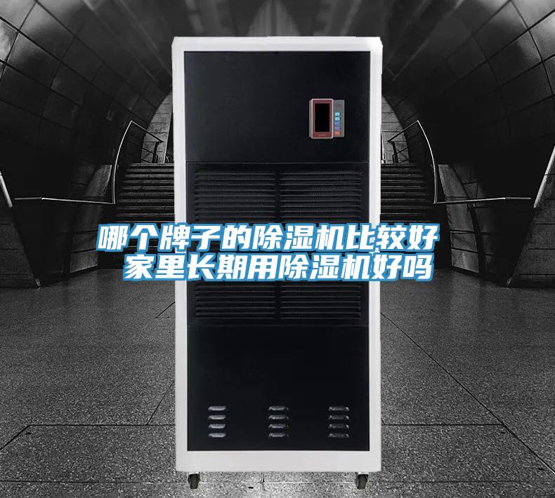 哪個牌子的除濕機比較好 家里長期用除濕機好嗎
