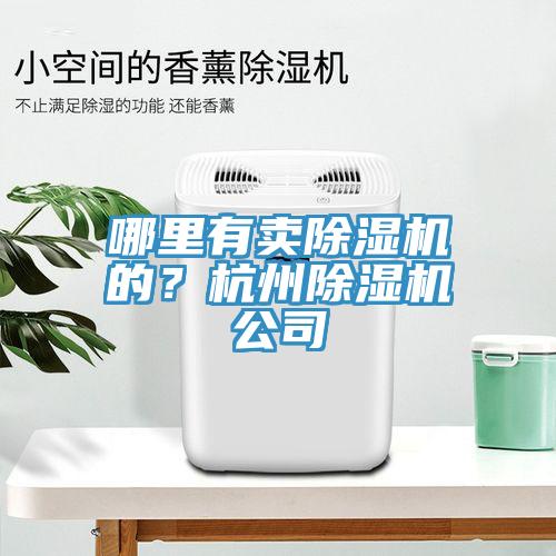 哪里有賣(mài)除濕機(jī)的？杭州除濕機(jī)公司