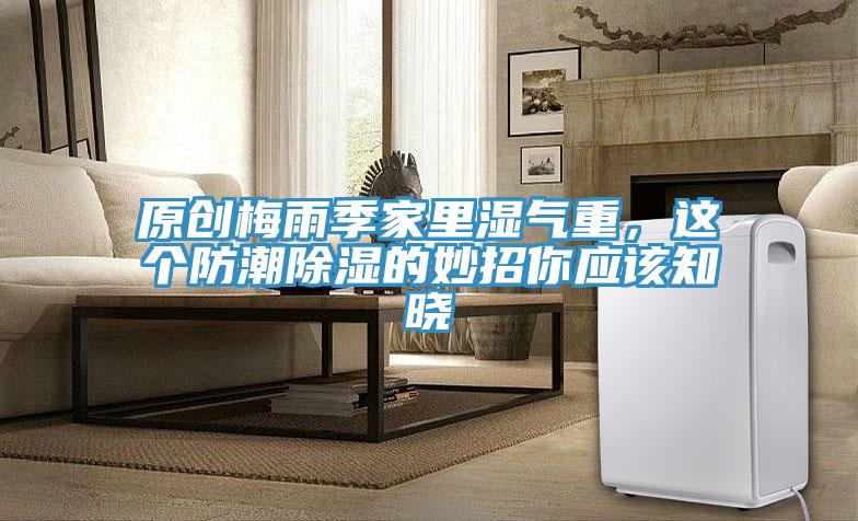 原創梅雨季家里濕氣重，這個防潮除濕的妙招你應該知曉