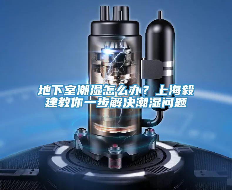 地下室潮濕怎么辦？上海毅建教你一步解決潮濕問題