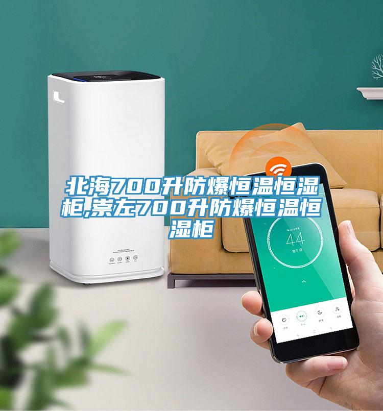 北海700升防爆恒溫恒濕柜,崇左700升防爆恒溫恒濕柜