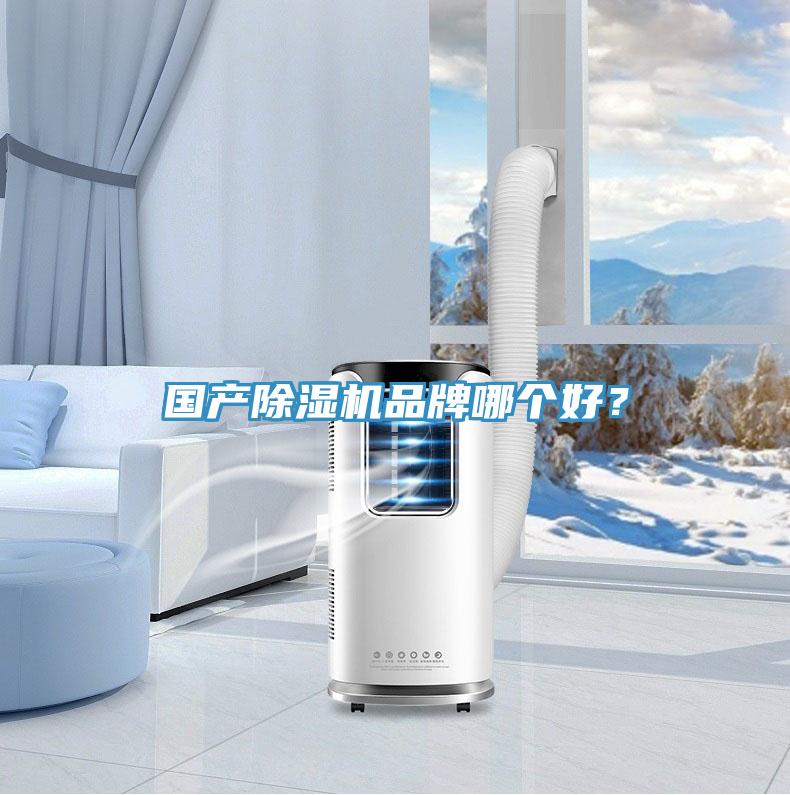 國產除濕機品牌哪個好？