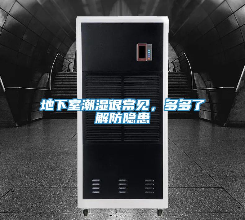 地下室潮濕很常見，多多了解防隱患