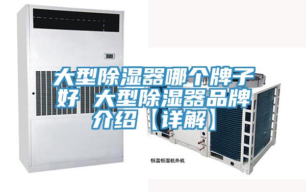 大型除濕器哪個牌子好 大型除濕器品牌介紹【詳解】