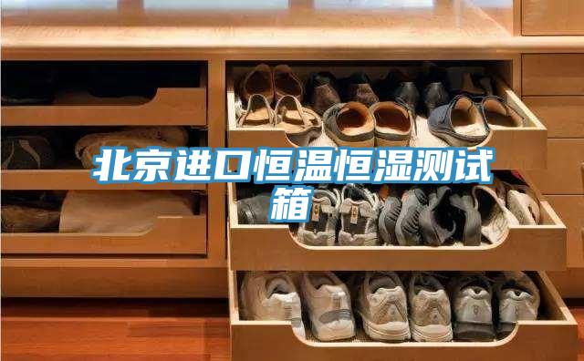 北京進(jìn)口恒溫恒濕測(cè)試箱