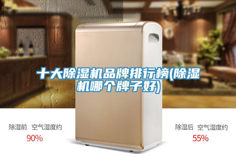 十大除濕機品牌排行榜(除濕機哪個牌子好)