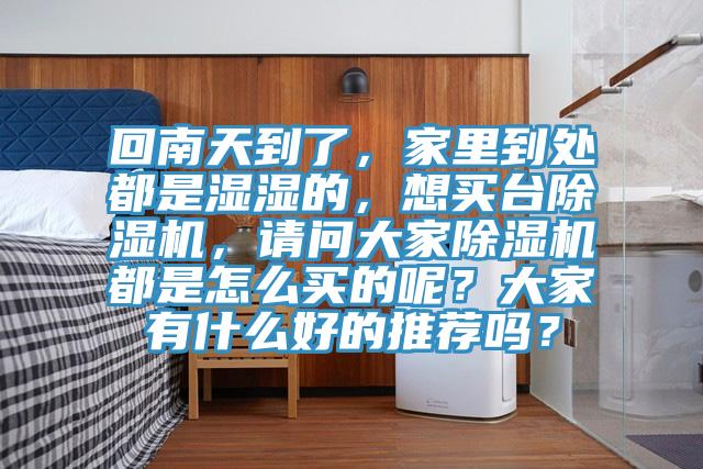 回南天到了，家里到處都是濕濕的，想買臺除濕機，請問大家除濕機都是怎么買的呢？大家有什么好的推薦嗎？