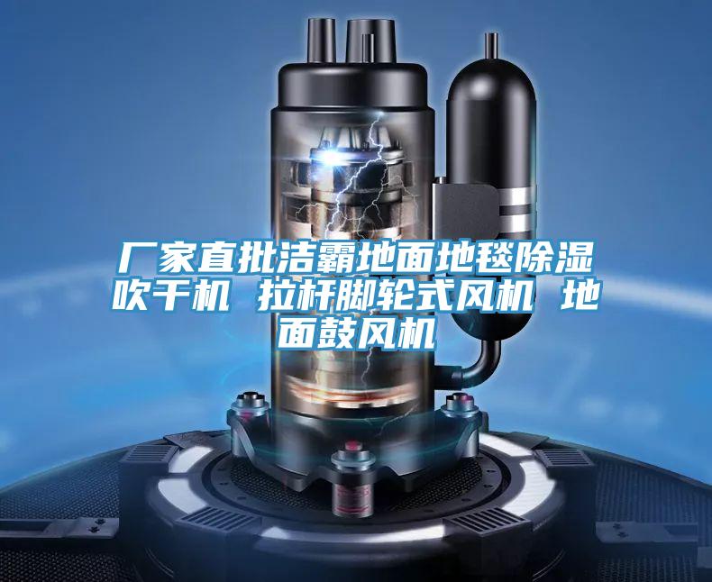廠家直批潔霸地面地毯除濕吹干機 拉桿腳輪式風機 地面鼓風機