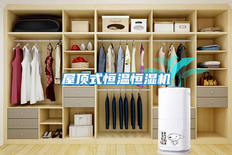 屋頂式恒溫恒濕機