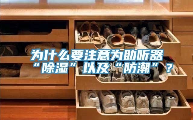 為什么要注意為助聽器“除濕”以及“防潮”？